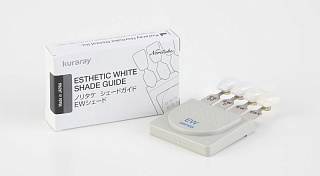 Расцветка EX-3 Esthetic White