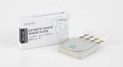 Расцветка EX-3 Esthetic White